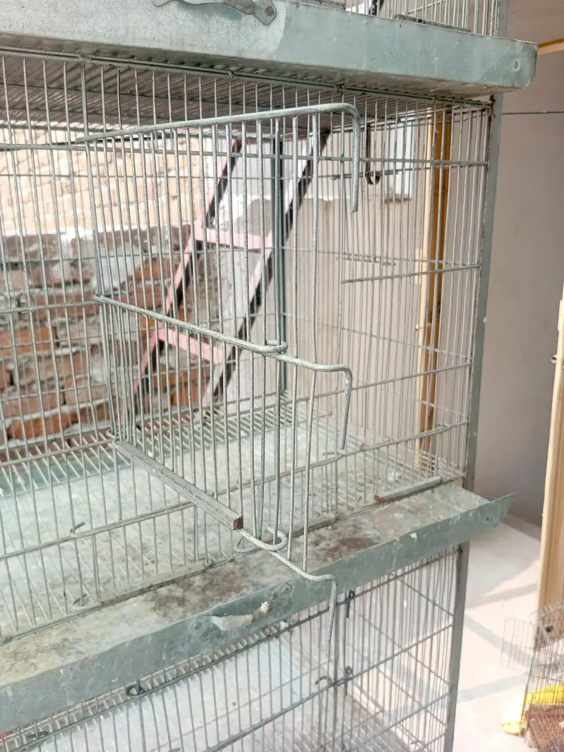 cage 2.5*1.5*1.5 — photo 4