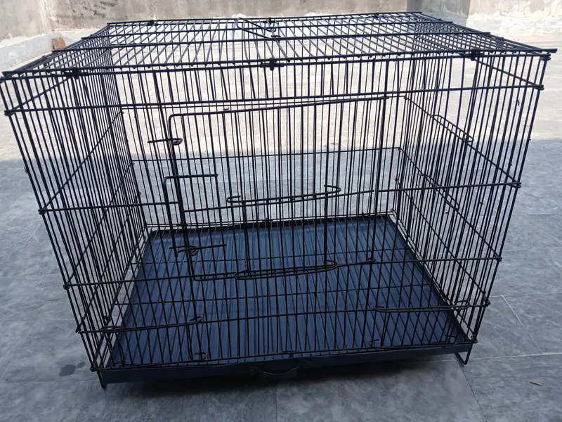 budgies breeder pairs + cage 0/3/2/1/4/9/4/6/8/4/4 — photo 5