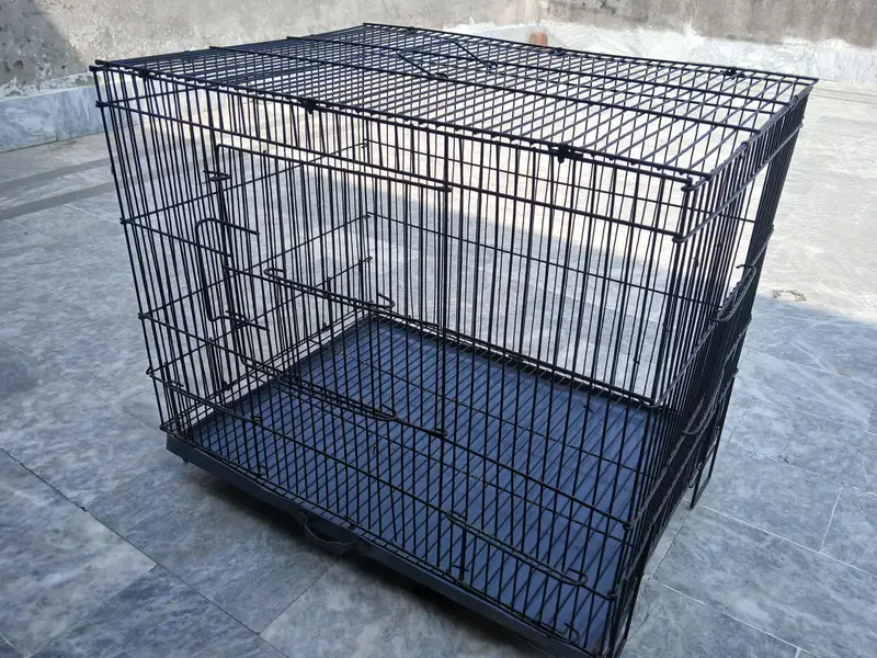 budgies breeder pairs + cage 0/3/2/1/4/9/4/6/8/4/4 — photo 6