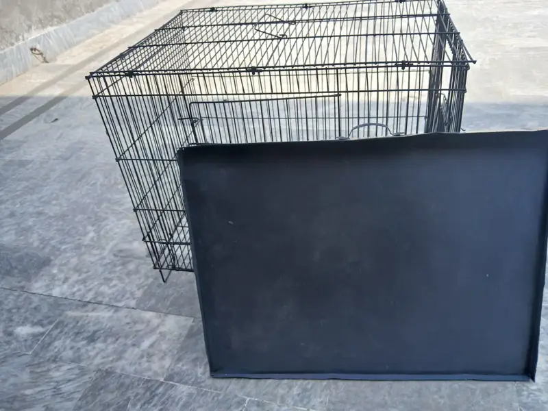 budgies breeder pairs + cage 0/3/2/1/4/9/4/6/8/4/4 — photo 7