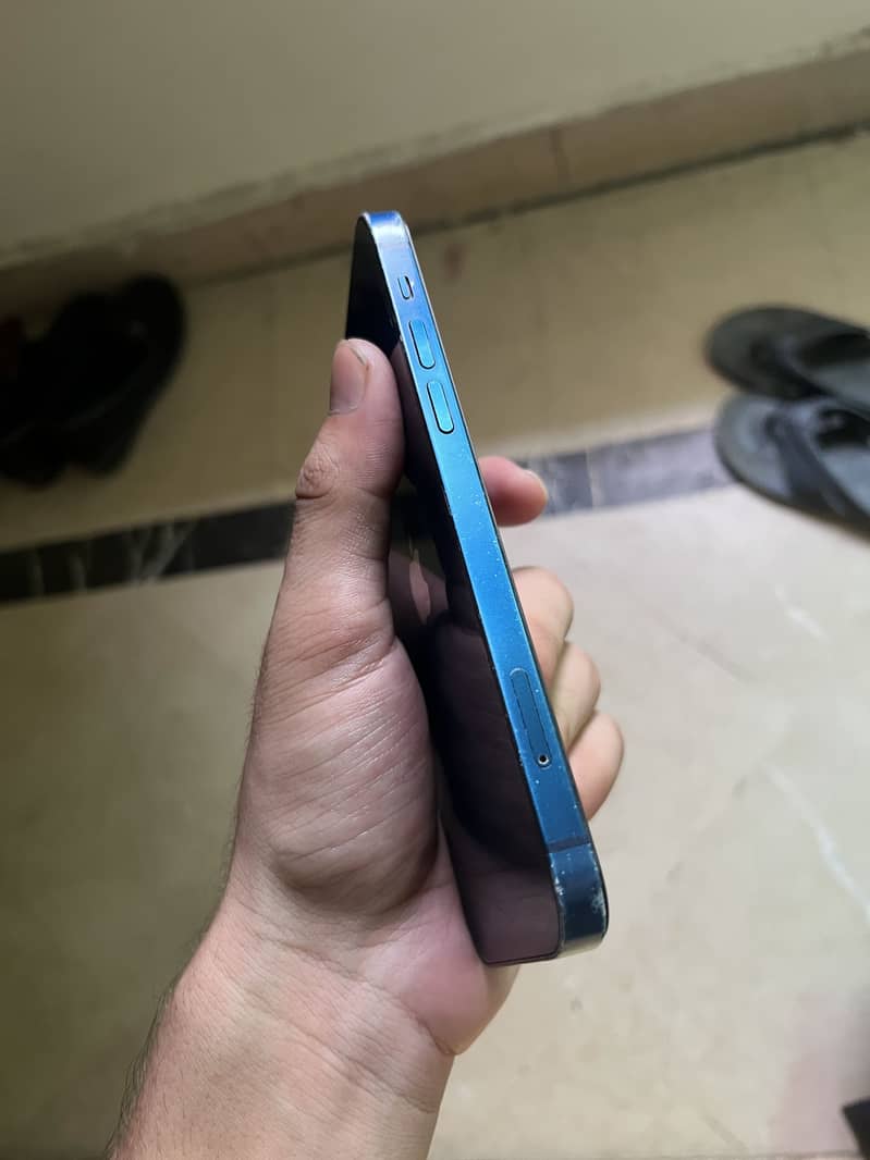 Apple iPhone 12 1
