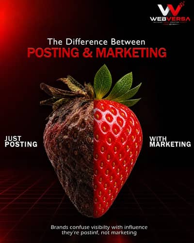Graphic Designer Here!