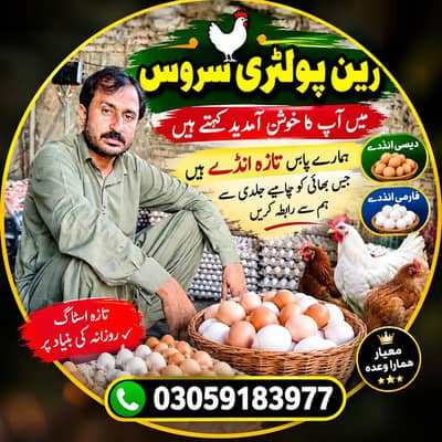 Golden misri and eggs avalible