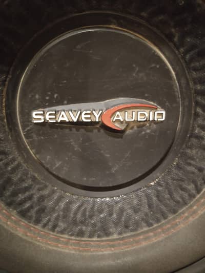 Car Subwoofer