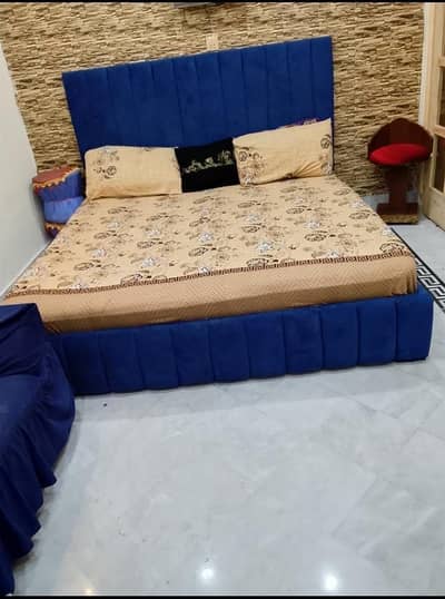 Blue poshish king bef