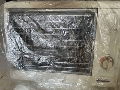 Rinnai gas heater