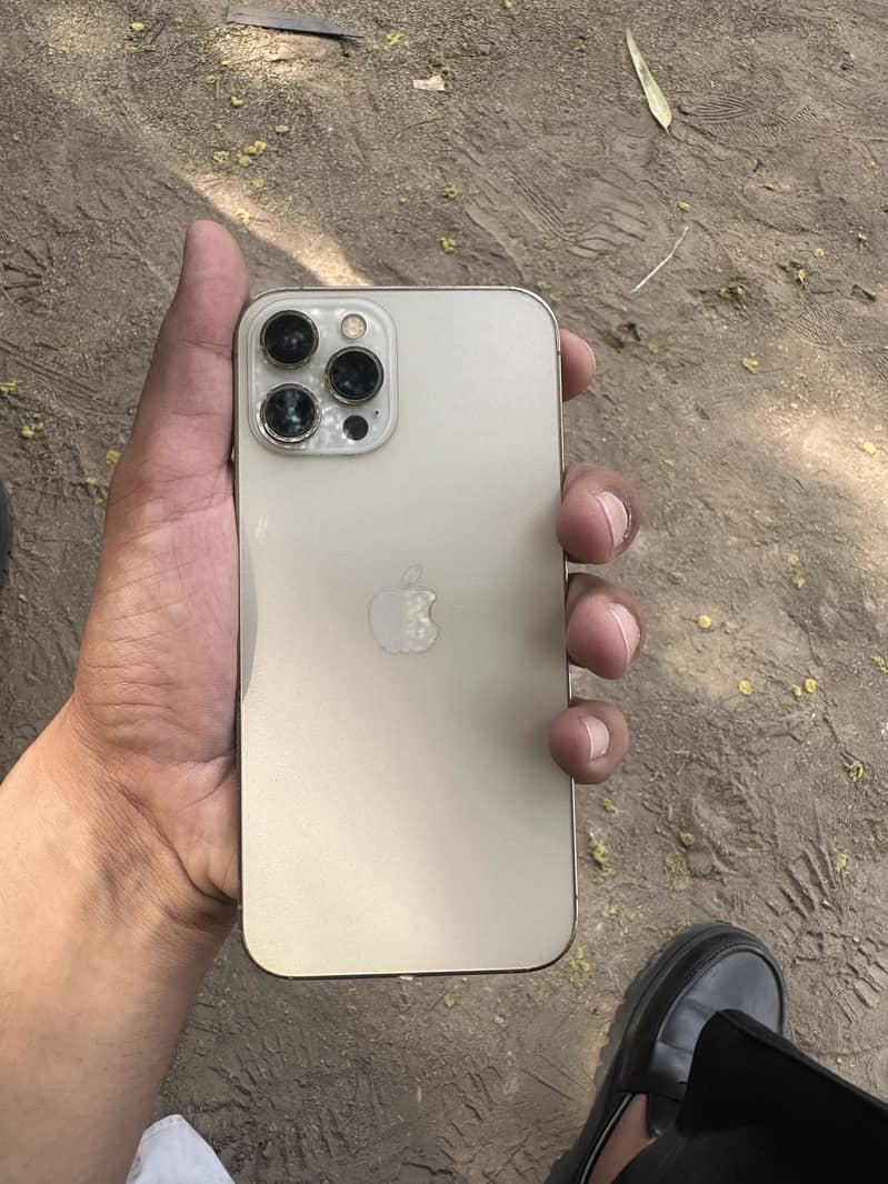 Apple iPhone 12 Pro Max 1