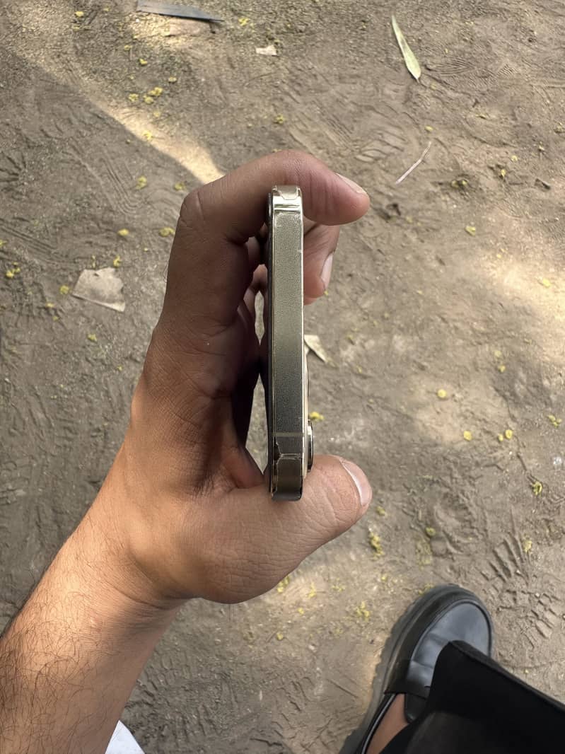 Apple iPhone 12 Pro Max 2