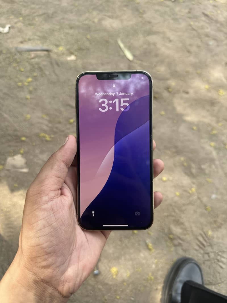 Apple iPhone 12 Pro Max 4