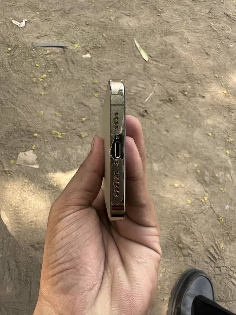 Apple iPhone 12 Pro Max 6