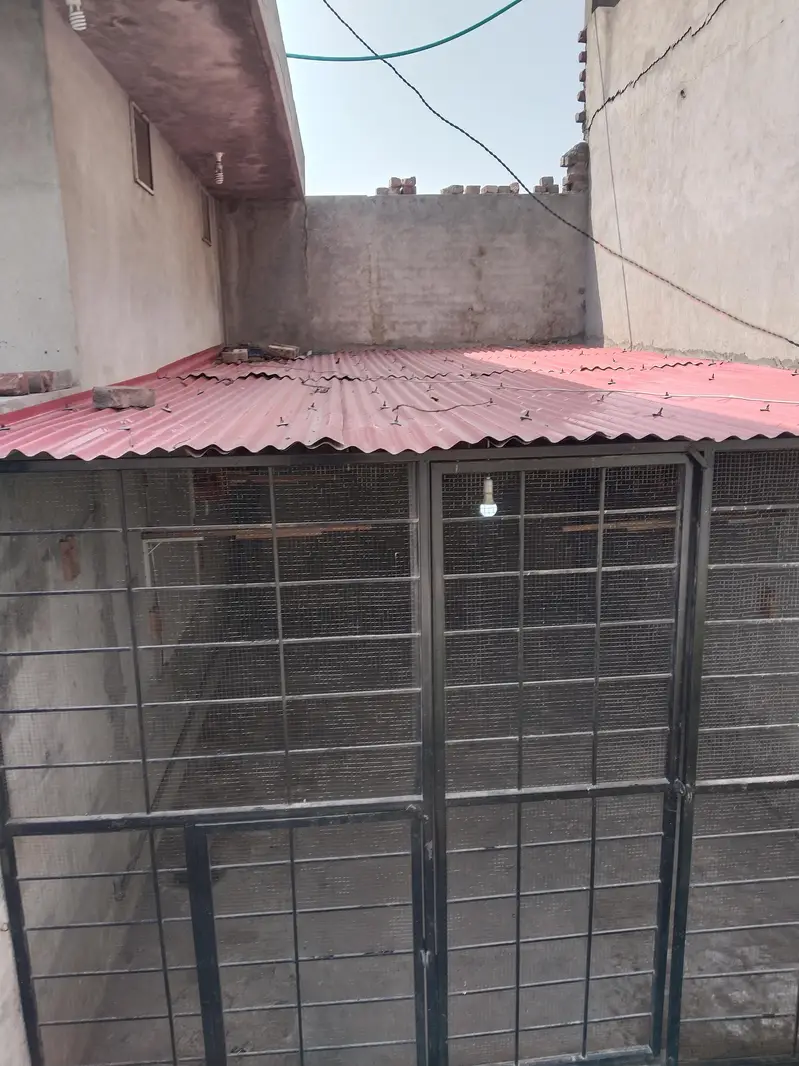 Strong iron cage grill Multi purpose use for sale — photo 7