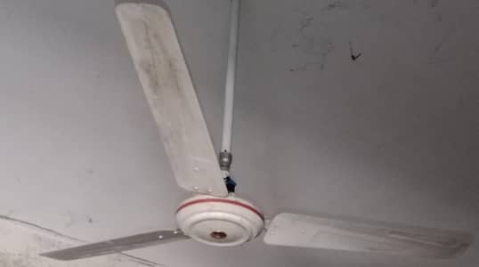 Fan for sale