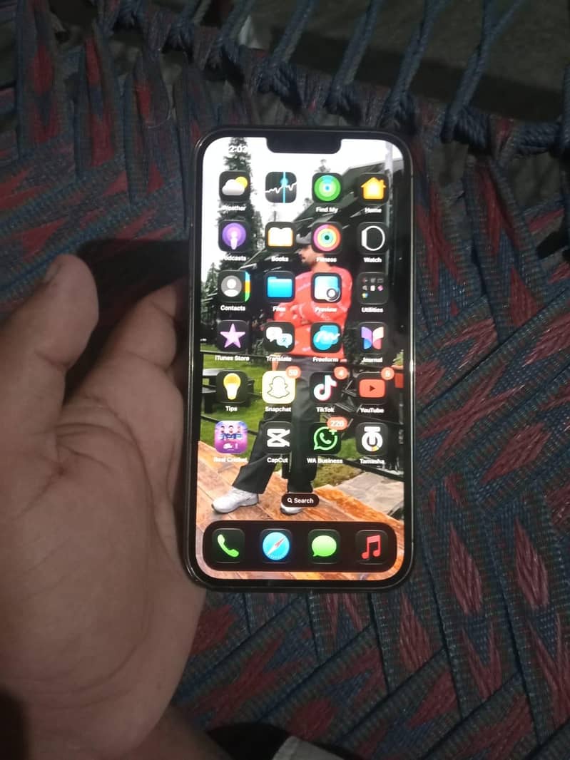 Apple iPhone 13 Pro Max 2