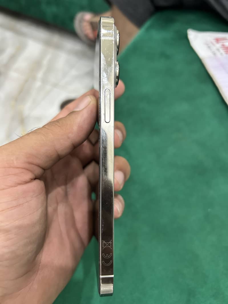 Apple iPhone 13 Pro Max 1
