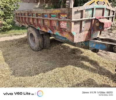 jack wali tralli for sale