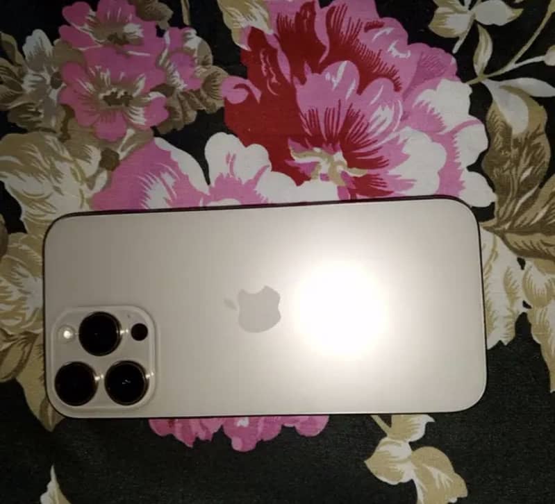 Apple iPhone 16 Pro Max 4