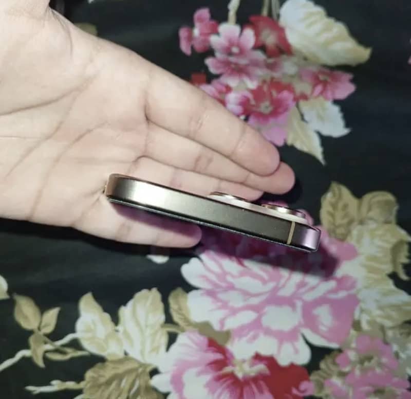 Apple iPhone 16 Pro Max 10