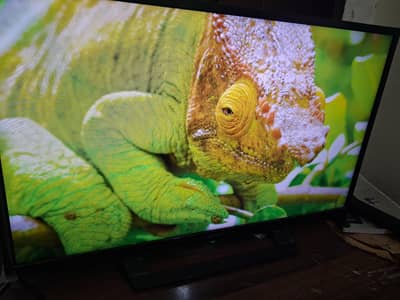 sony bravia  orginal 32  inch simple led  0344-8502692
