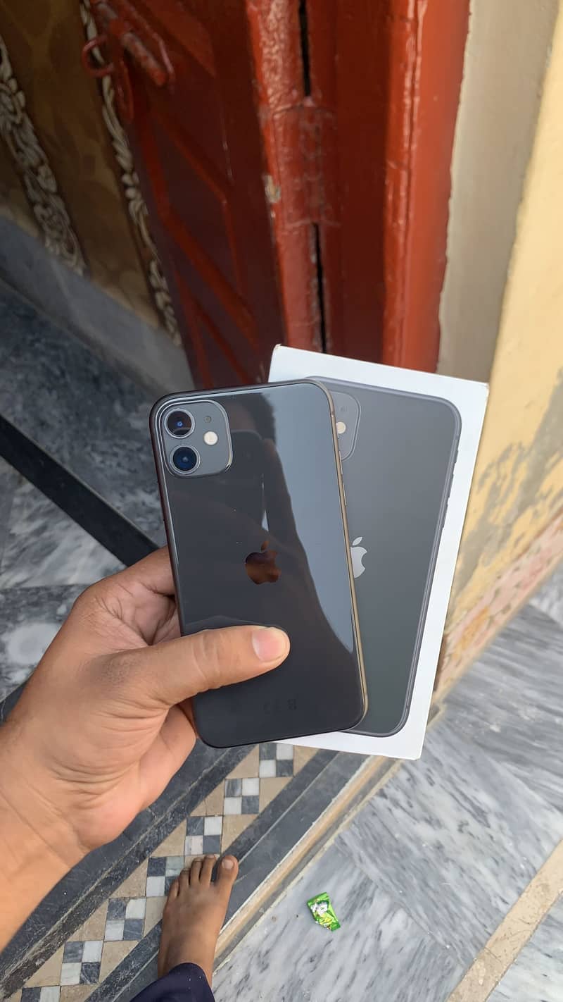 Apple iPhone 11 0