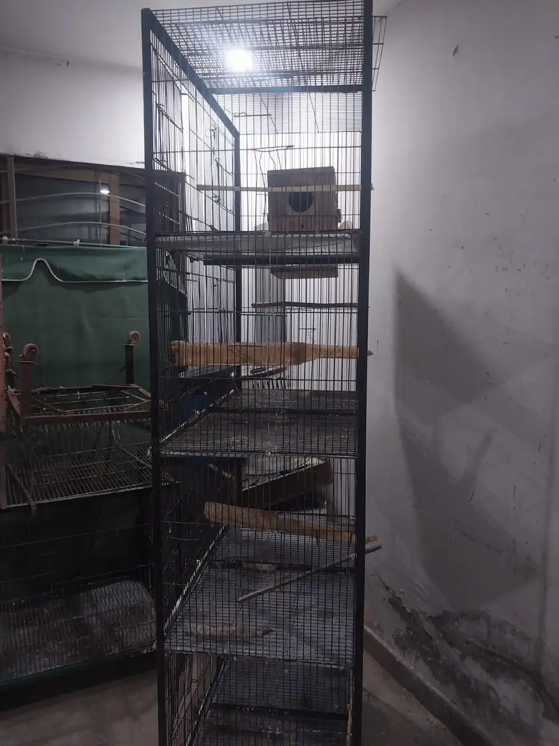 Large Iron Bird Cage for Sale — photo 2