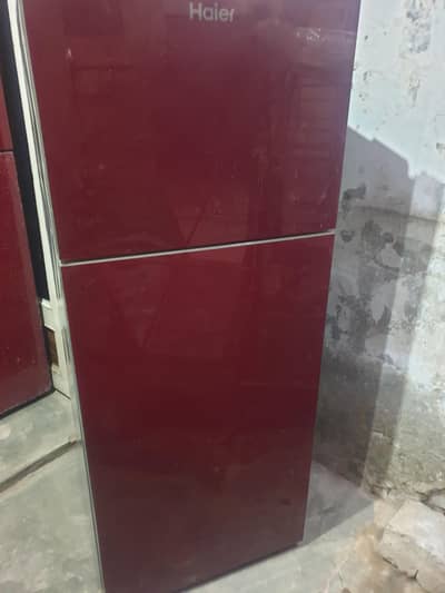Haire mediam saze fridge