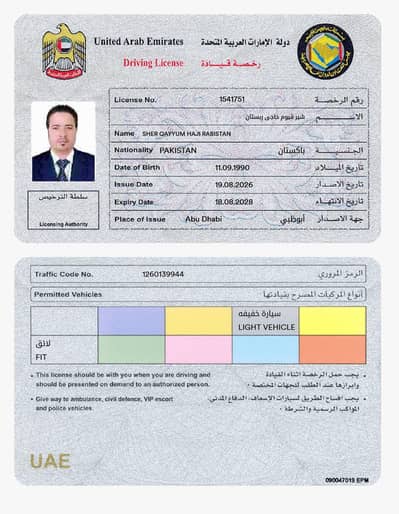 Professional Driver Available
