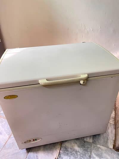 deep Freezer (03248468747)