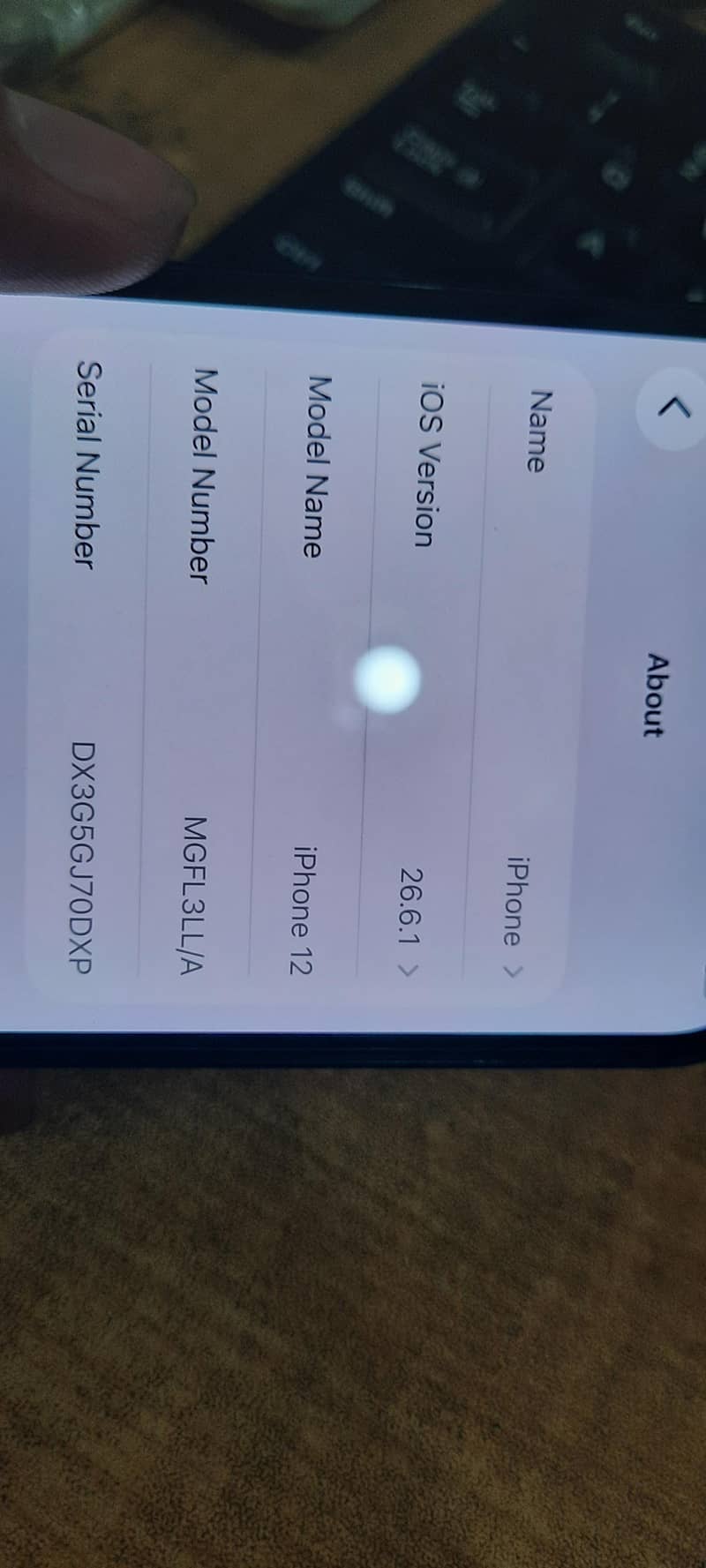 Apple iPhone 12 1