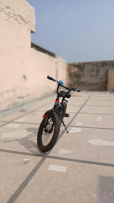 Goldman BMX bicycle