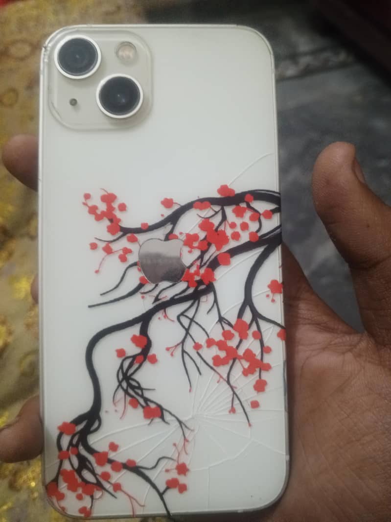 Apple iPhone 13 0