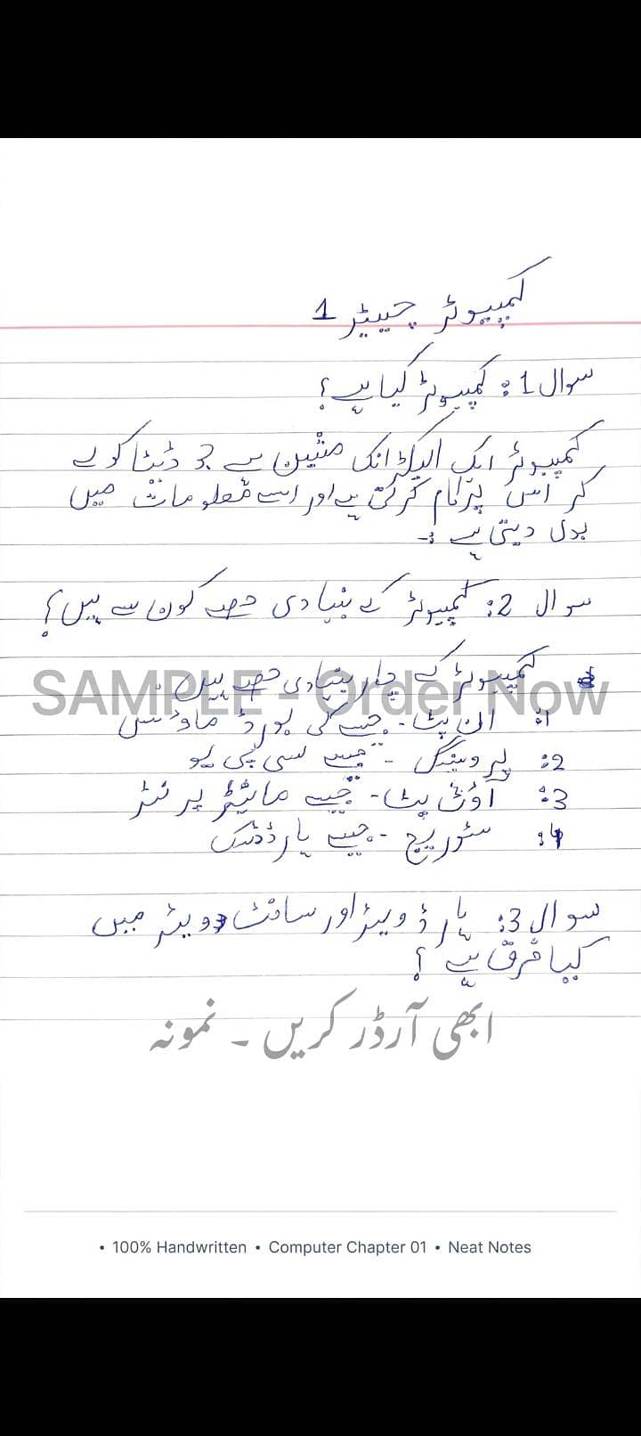 Computer & Physics Notes - Neat Handwriting - PDF Available 1