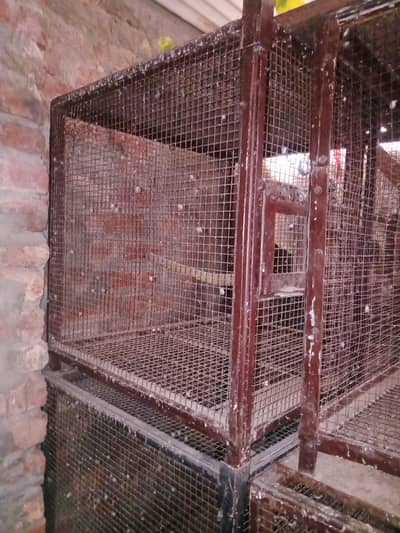 5 piece Birds cages per peace  10000 with three doors