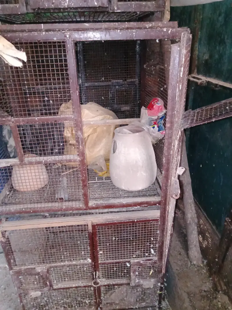 5 piece Birds cages per peace  10000 with three doors — photo 5