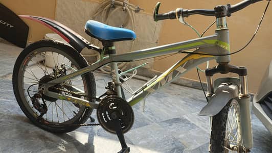Bicycle with Gear and disk break Made by Aluminiam