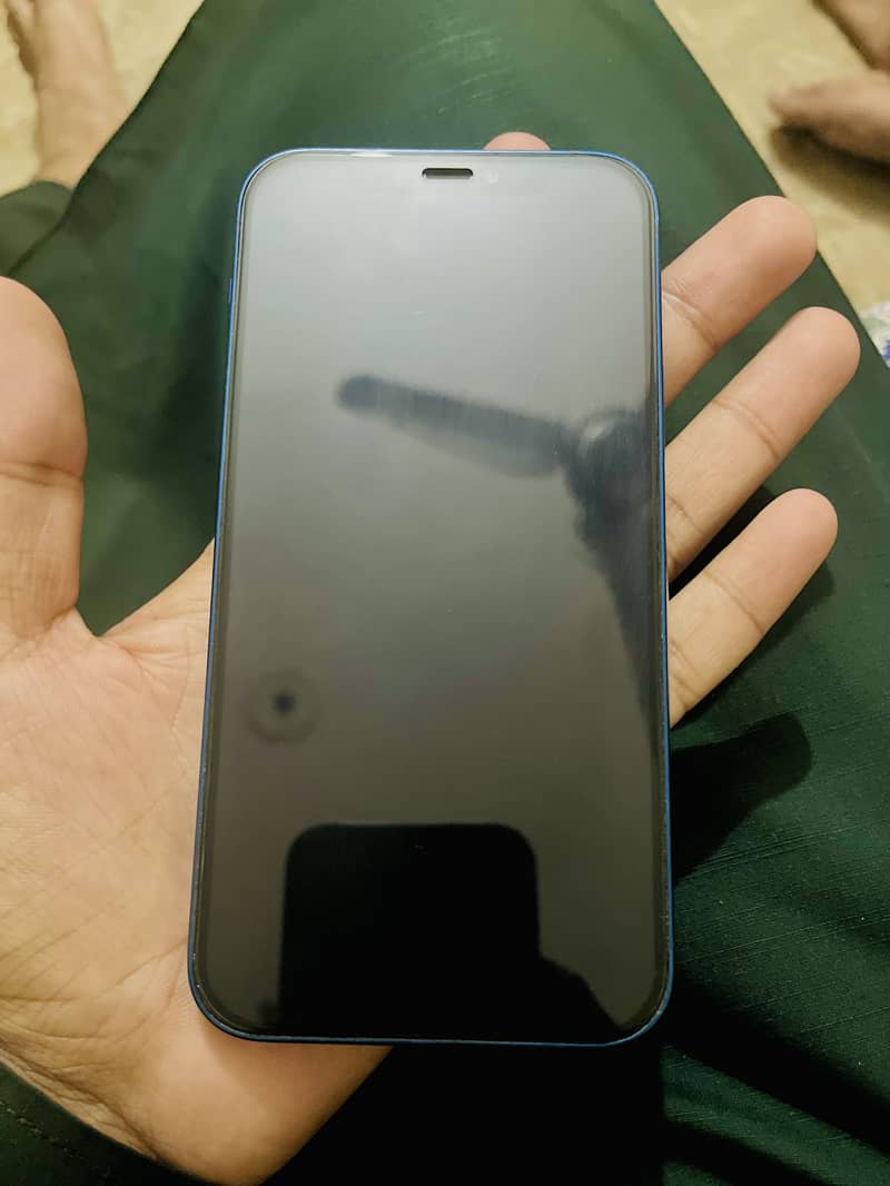 Apple iPhone 12 0