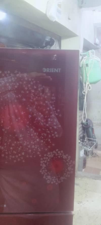 Glass door medium size