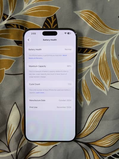 Apple iPhone 16 Pro Max