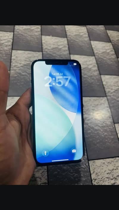 Apple iPhone 12 Pro Max