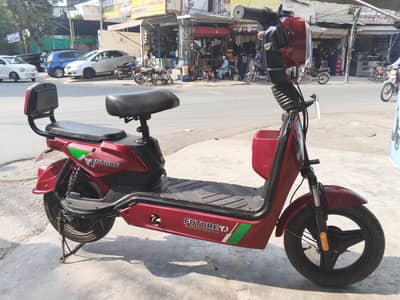 Electric Bike for sale