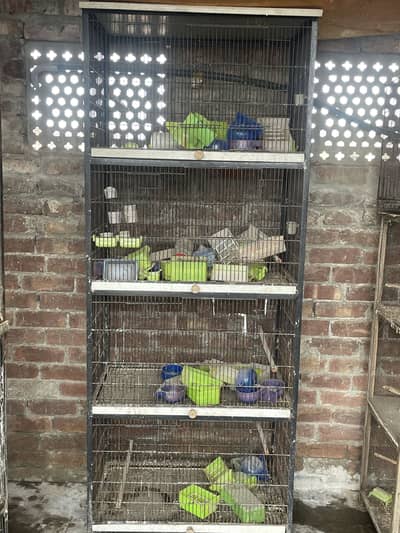 LoveBird Cages