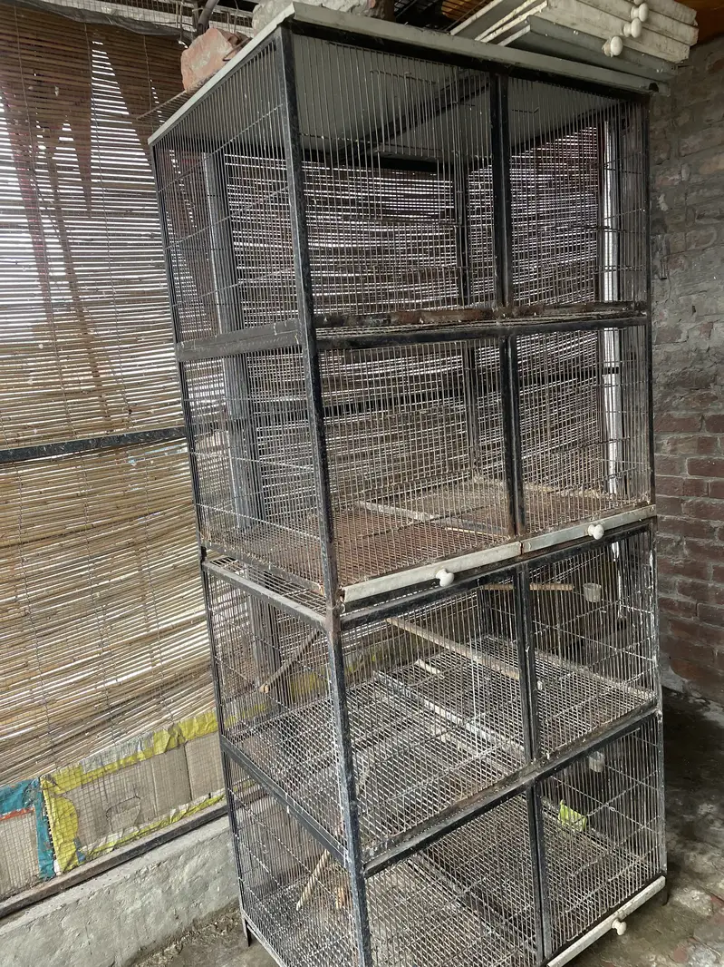 LoveBird Cages — photo 2