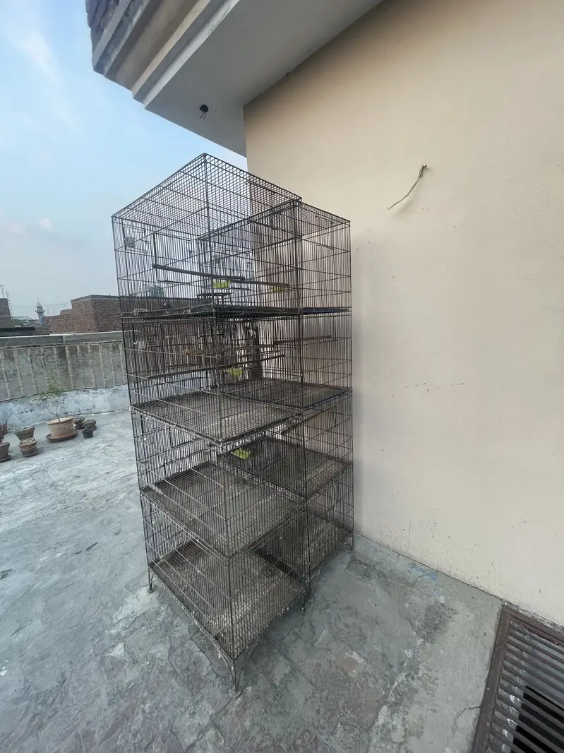 LoveBird Cages — photo 3