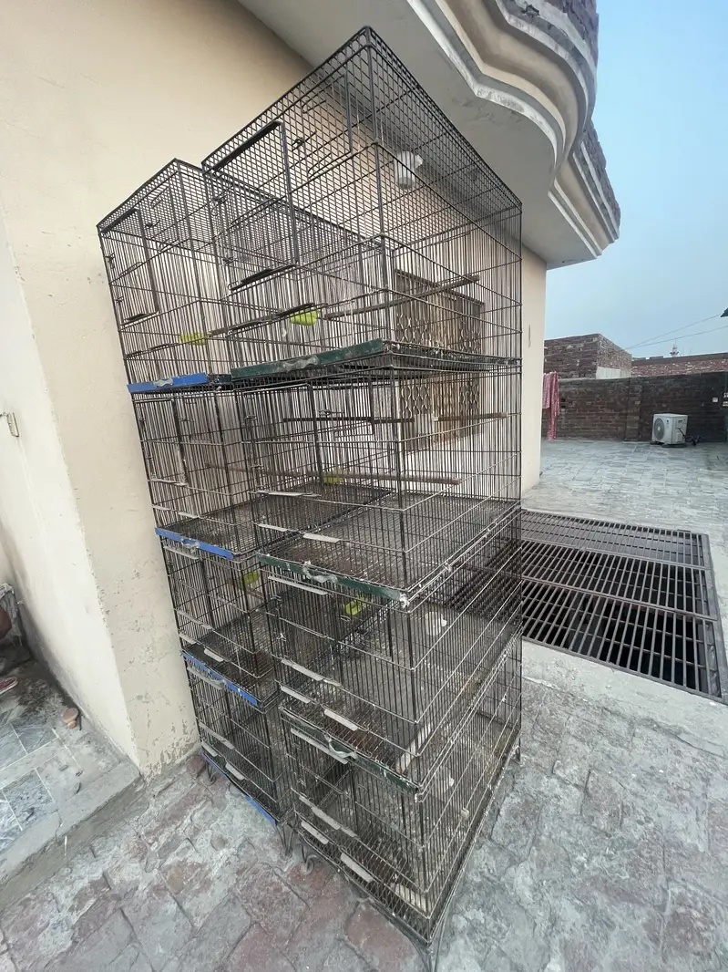 LoveBird Cages — photo 4