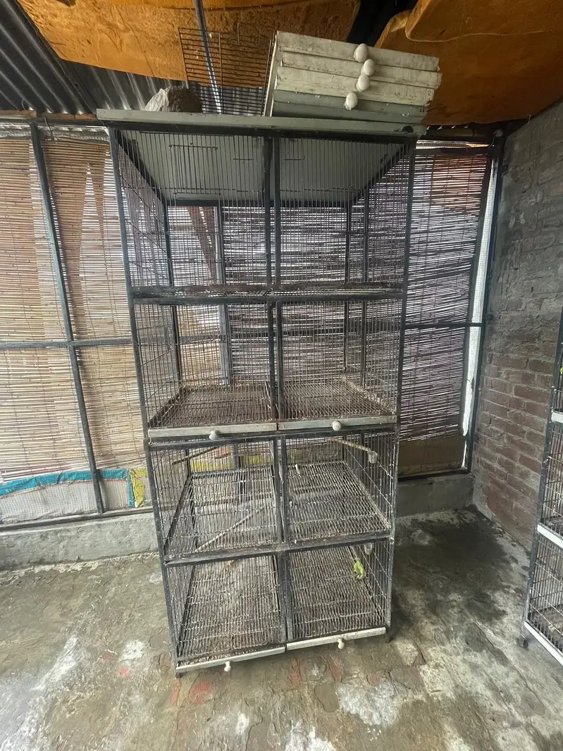 LoveBird Cages — photo 5