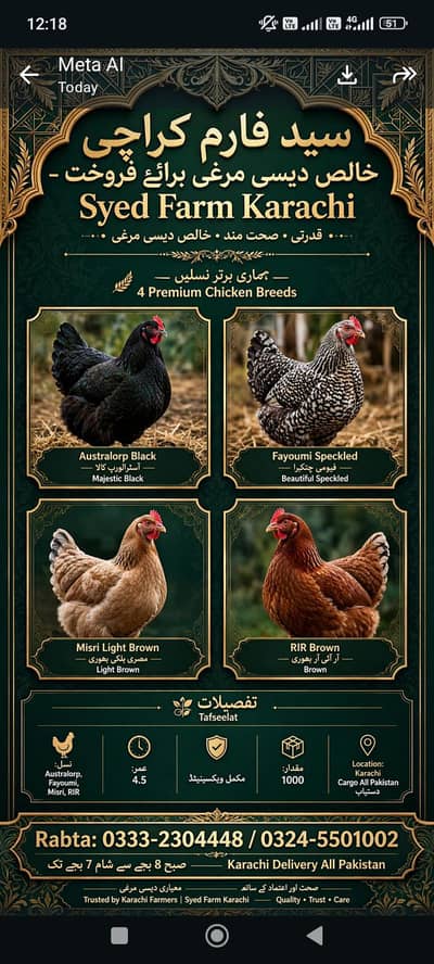 Murgi Dastyab - Syed Farm Karachi - مرغی دستیاب - سید فارم کراچی