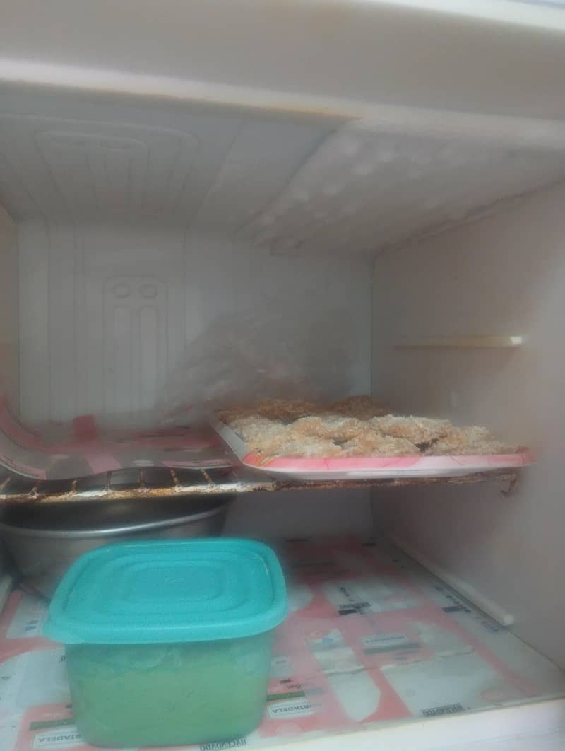 fridge refrigerator condition working 1