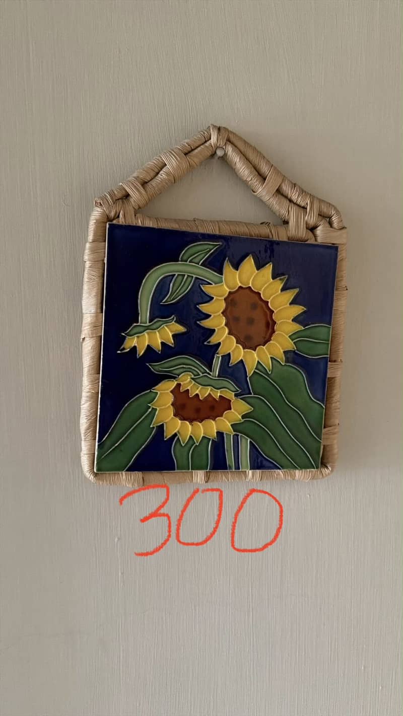Wall Hanging Frames 6