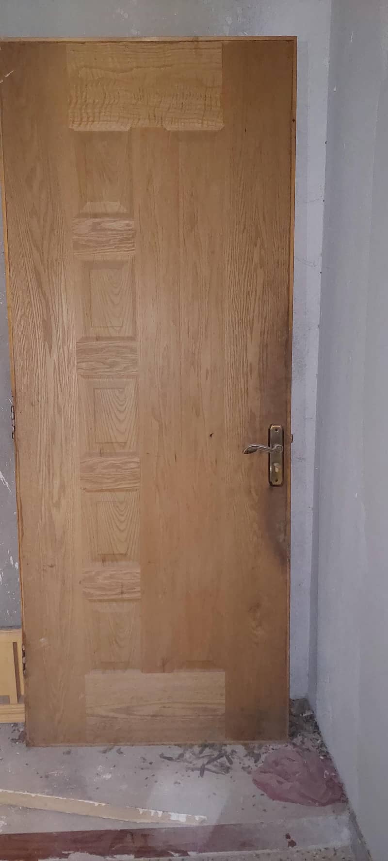 kitchen Door 1