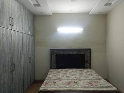 New Semi Furnished Lower Portion