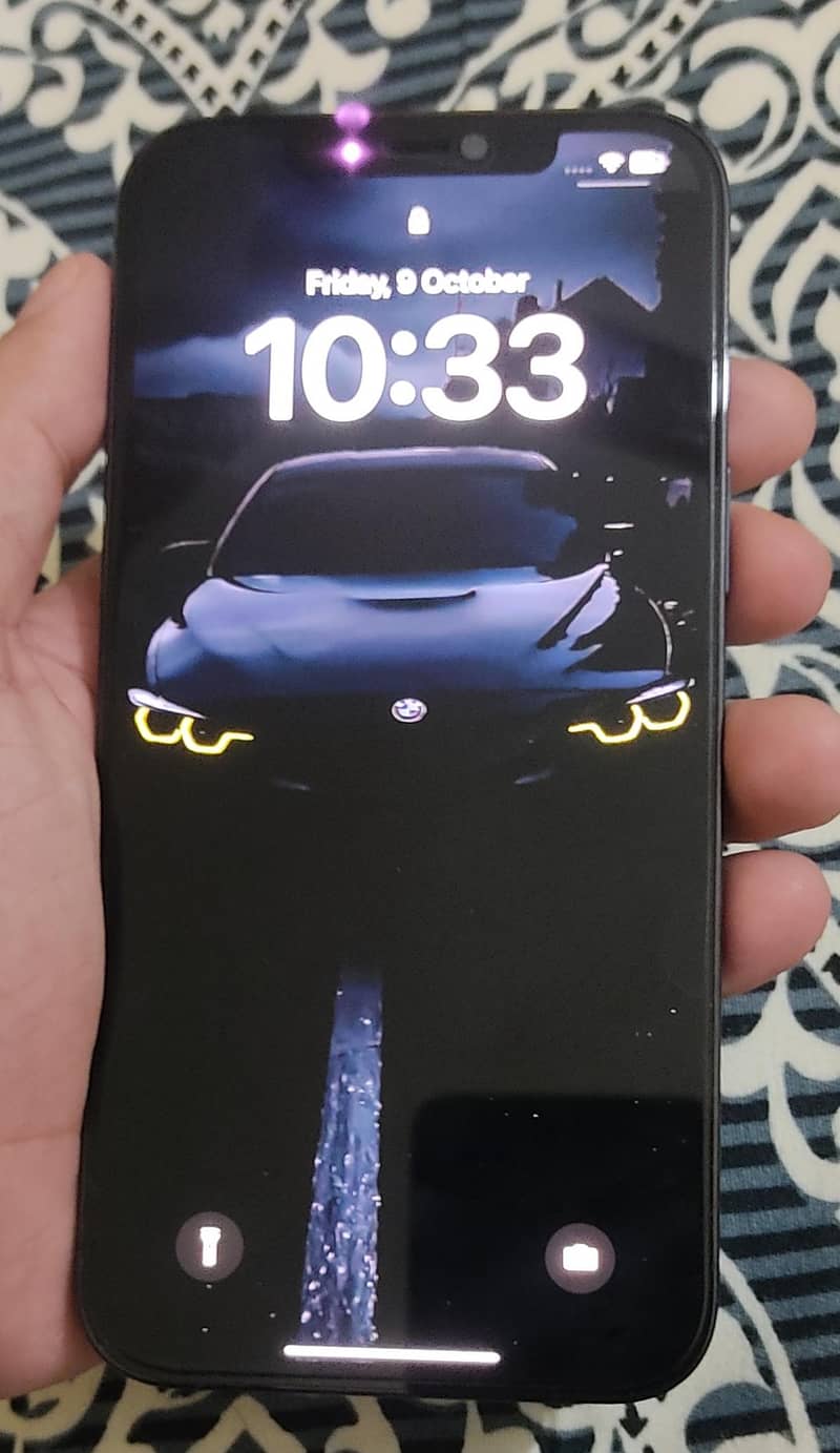 Apple iPhone 12 Pro Max 2